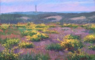 Arthur Egeli - Yellow Broom Provincelands