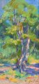 John Clayton - Cape Cod Pine (Summer '24)