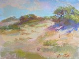 John Clayton -Fall Dunes Provincetown